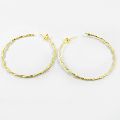 Twisted wire gold plated Earring