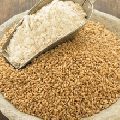 wheat flour of haryana origin