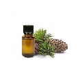 Cedarwood Oil Pure and Natural