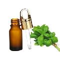 Cold Pressed Natural and Pure Basil Oil