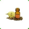Herbal Extract Grape Seed Oil