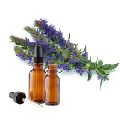Hyssop Essential Oil Pure and Natural