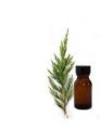Natural Cypress Essential Oil