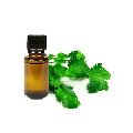 Pure and Natural Coriander Essential Oil