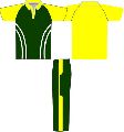 south africa cricket jersey