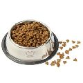 Stainless Steel Pet Feeding Embossed Bowl