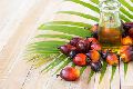 Natural Palm Oil