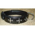 Leather Collar with Clinchers