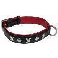 Smooth dog collar and clip