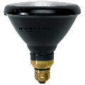 Sylvania 100W/R NDT Spare Lamp