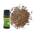 Organic Cumin Seed Oil