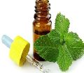 Peppermint Aromatic Essential oil