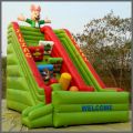 Inflatable Slide Bouncer