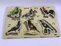 MDF Puzzle Birds