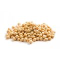 Organic Non GMO Soybean Seed
