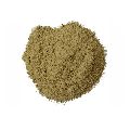 Organic Bhumi Amla Extract Powder