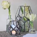 Black metal glass plant terrarium table decoration