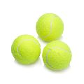 Dog Toy Tennis Ball
