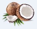 Brown Coconut