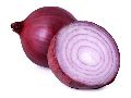 Common red onion