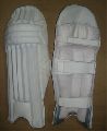 Cricket Wicket Keeping Pads