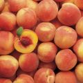 fresh peach