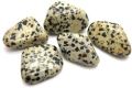 Gemstone Dalmatian Jasper Healing Tumbled Stone