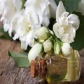 Natural Lily Oil