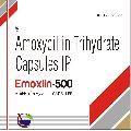 Amoxycilllin Capsule 500