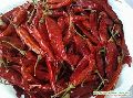 dry red chilly