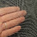 Insect Net