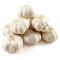 fresh garlic