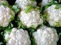 fresh cauliflower