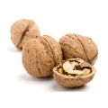 Shelled Walnuts