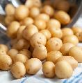 Fresh Baby Potatoes