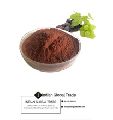 Grapeseed Extract Powder