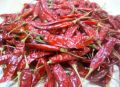 Andhra Red Chili