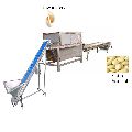 Garlic Peeling machine big production line