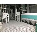 Wheat Flour Mill Plant