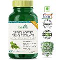 Organic Fermented SIMPLY HERBAL ORGANIC Green Coffee Beans Extract