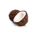 Fresh Coconuts for Commercial Use