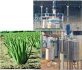 Extraction plant for Aloe Vera gel