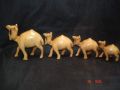 Wooden Camel