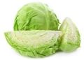 Fresh Cabbage