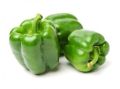 Organic Capsicum