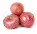 Organic Onion