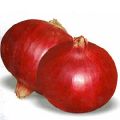 Nasik Red Onion