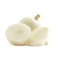 Fresh White Onion