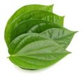 betel leaves