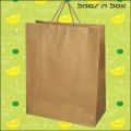 Brown BAGSNBOX plain kraft paper handle bags